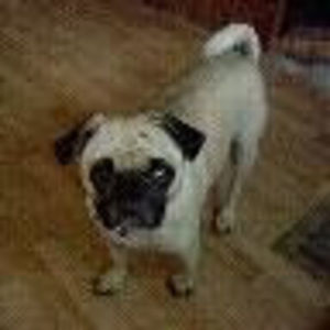 Meet your Posher, Travis